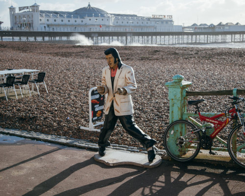 Elvis, Brighton 2016.