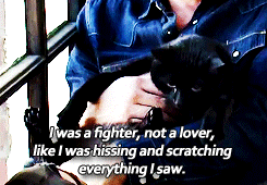 nonormynolife:  [x] 