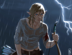 Merwild: Link, The Survivor. I Like To Think That Link’s Journey Wasn’t Always
