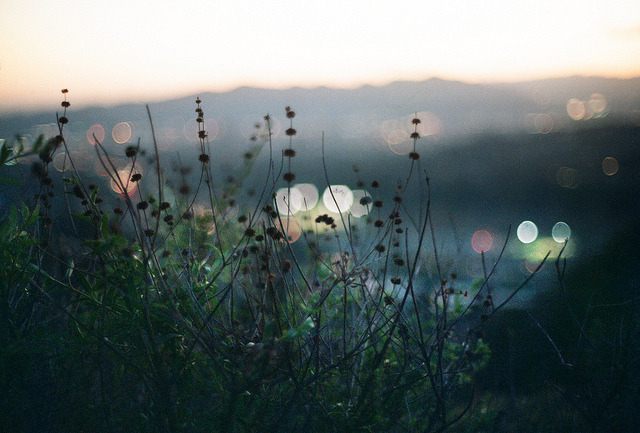 oix:  "coming down beneath the violent sky" by anthony samaniego on Flickr.
