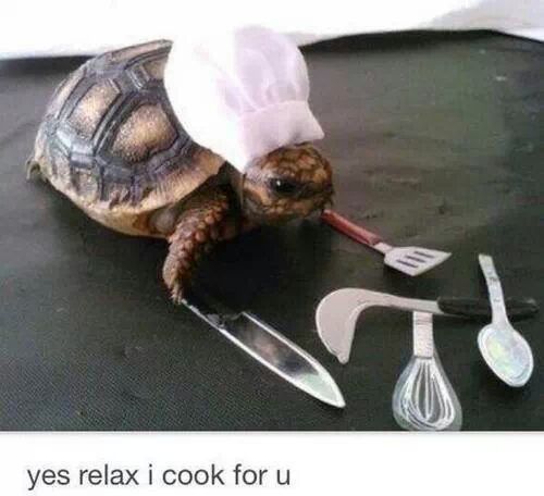 hentaislavexxx:  I want this fucking turtle!!