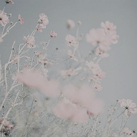 tartelperien:CHARACTER MOODBOARDS  →  Vána the Ever-youngAll flowers spring as she passes and open i