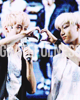 fallenforjongin:  things that make EXO so special and different 