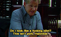 blinkingkills: hannibal-shmannibal:  Hannibal invites Gordon Ramsay for dinner; it