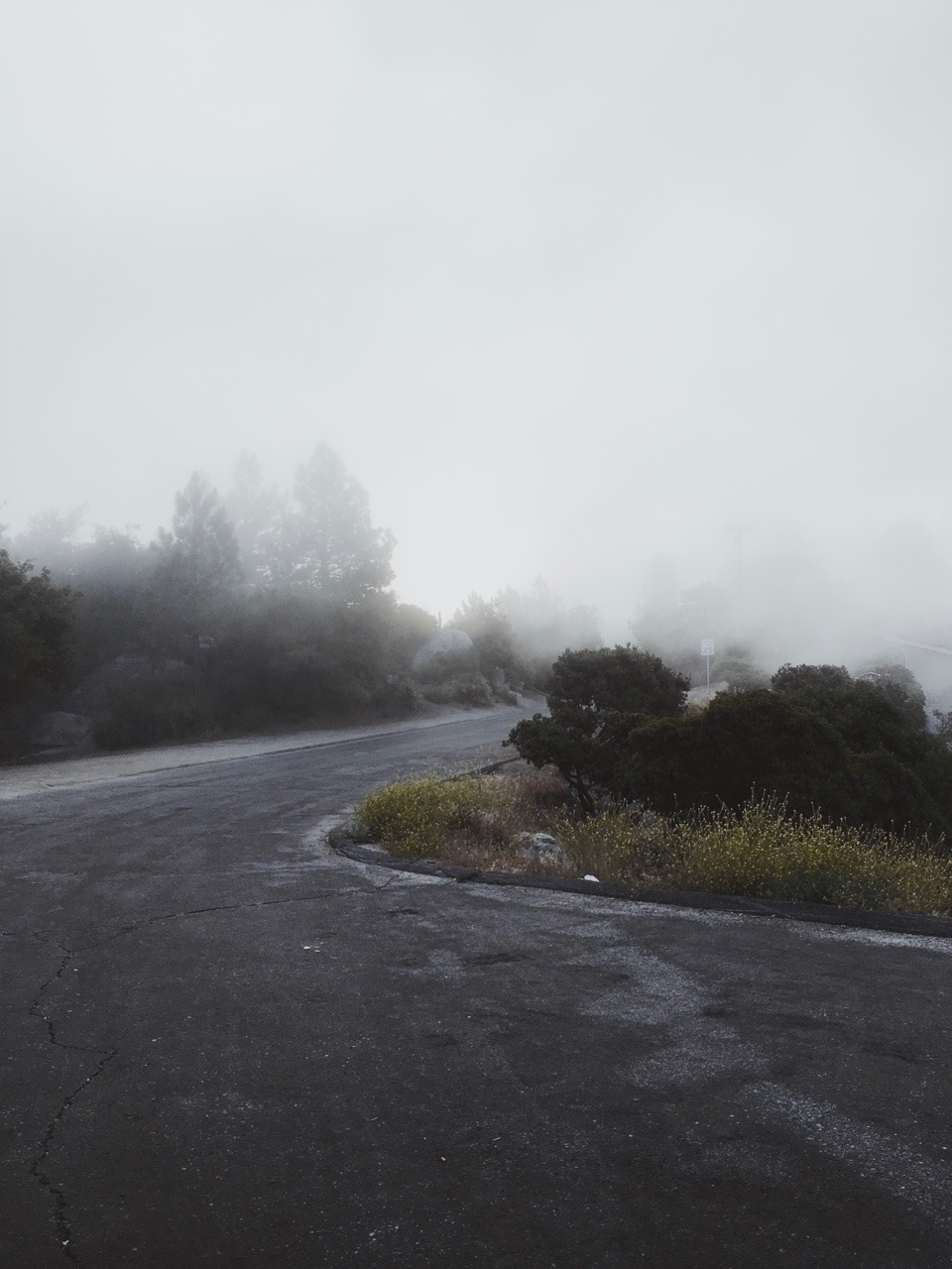 rononie: Sunrise / Idyllwild, ca