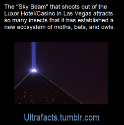 ultrafacts: Source: [x] Follow Ultrafacts