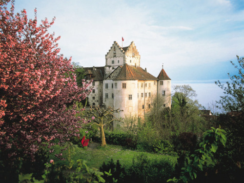 willkommen-in-germany - Meersburg Castle on the Bodensee (Lake...