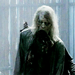 your #1 walking dead source