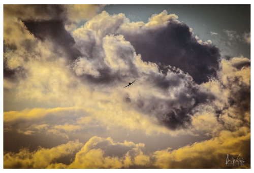 Flying solo - st martin des champs, France.