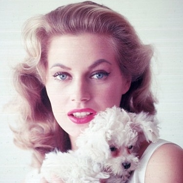 fuckindiva:  Anita Ekberg by Allan Grant, 1955 