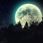 nihility-of-darkness