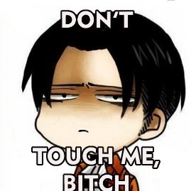 tsugumi-sekai:  Don’t touch Levi (；ﾟДﾟ)