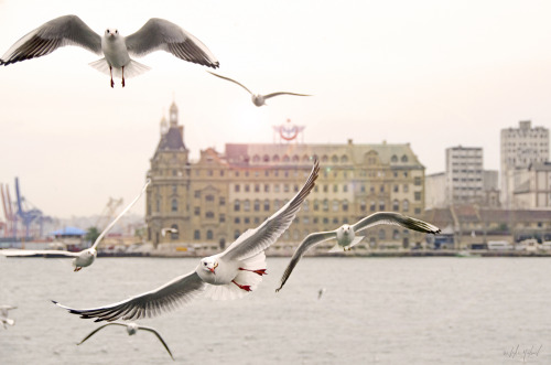 - Kadıköy, Istanbul, Turkeyinstagram | 500px | Flickr | Facebook