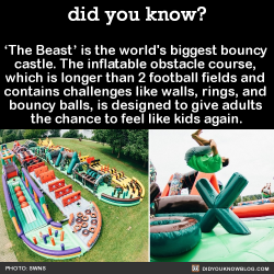 Did-You-Kno:  ‘The Beast’ Is The World’s Biggest Bouncy  Castle. The Inflatable
