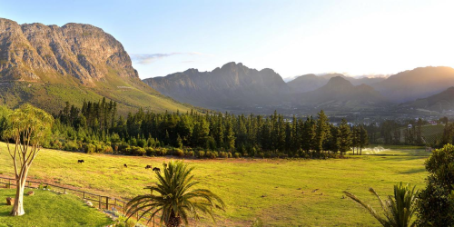 Sdafrika 2019 - Teil 4