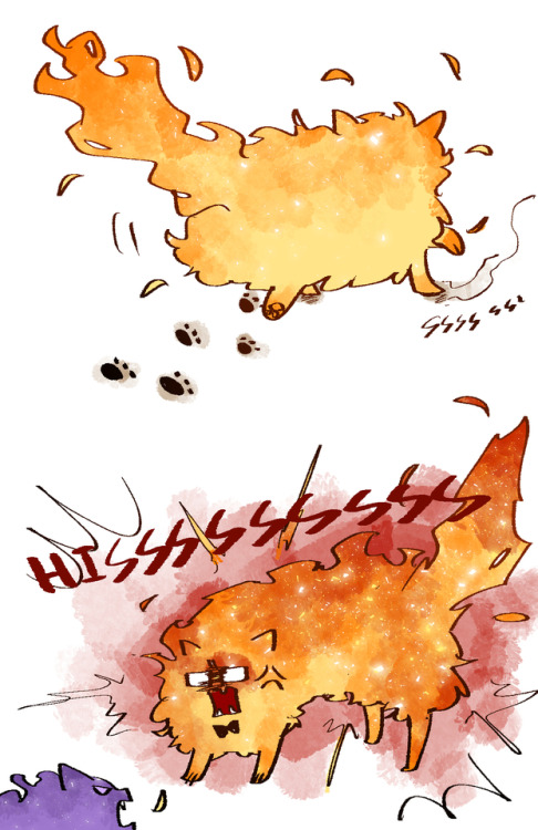 sansbytrashbin:  shanranran:  I want pet a fire cat~~~~~~~~~~~~~~~  Y E S S S S S
