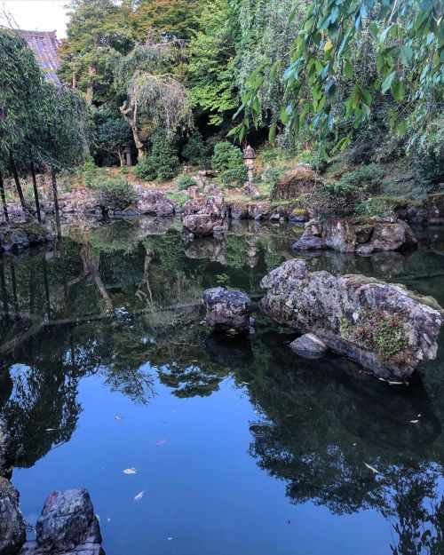 竹林院群芳園 [ 奈良県吉野町 ] Chikurinin Gunpoen Garden, Yoshino, Nara の写真・記事を更新しました。 ーー世界遺産・吉野山⛰で豊臣秀吉も滞留したという宿坊