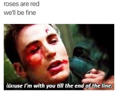 roses are red