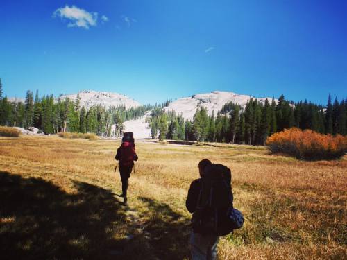 emphatic-nomadic:  Onward to never-ending adventures. Tuolumne Meadows in Yosemite National Park 