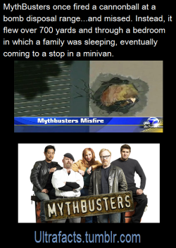 ultrafacts:  In an experiment gone awry, a cannonball aimed at water containers on a bomb disposal range missed its target and ripped through a suburban house, before coming to rest in a minivan.(Fact Source/full article) Follow Ultrafacts for more facts