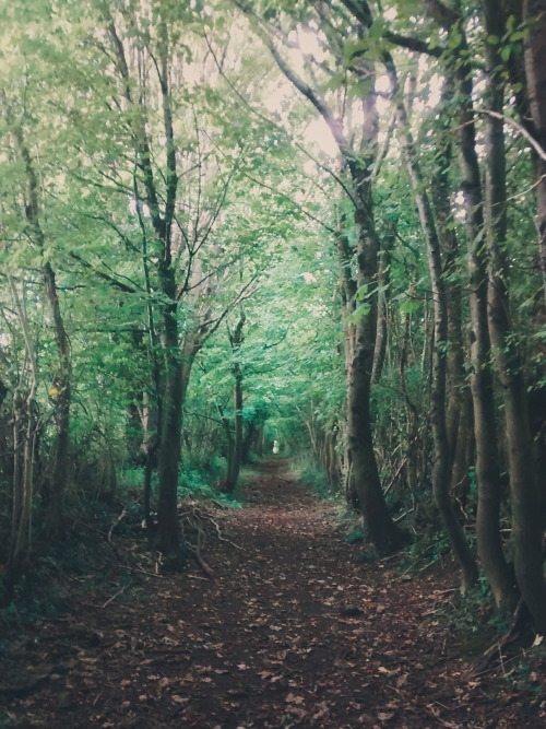 I&rsquo;ve been here before. St Fagans, Wales.