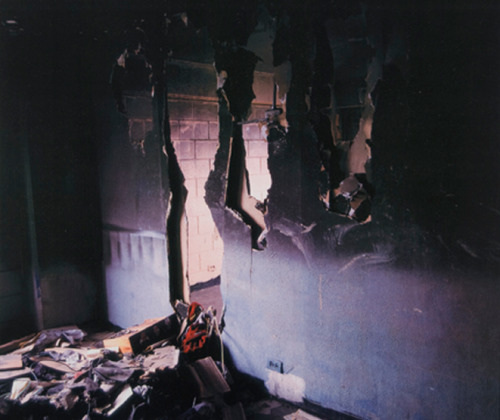 cyberwave:  Alex Fradkin, Public Housing (1999)