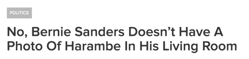 memeufacturing:  man *waking up from 12 year coma*: excuse me…. Doctor… ive been asleep for so long….. can you please…. bring me a newspaper… so i can better understand the current world… doctor: no i absolutely fucking cannot do that  