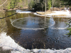 odditiesoflife:  Rare Ice Disks Although