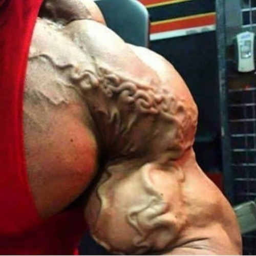 muscledlust:Bodybuilding is an art of details. And nothing is more detailed than bloated veins rolli