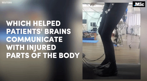 the-future-now:  this is amazing! (x) | follow @the-future-now