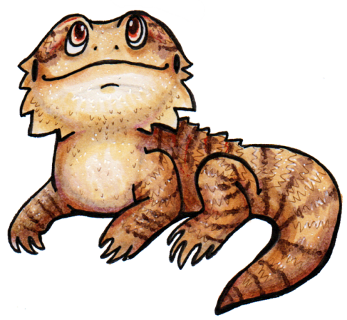 I remembered I had copics and drew my reptiles. I then proceeded to wrestle with my scanner, who bel