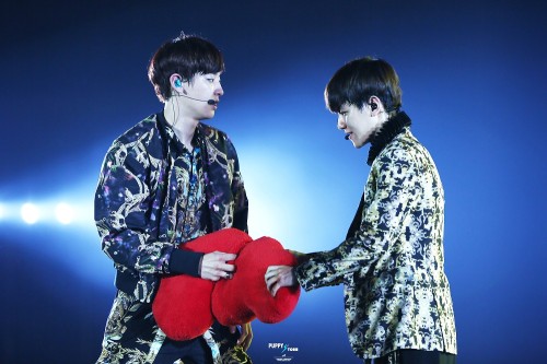 baekyeol:  puppystore 