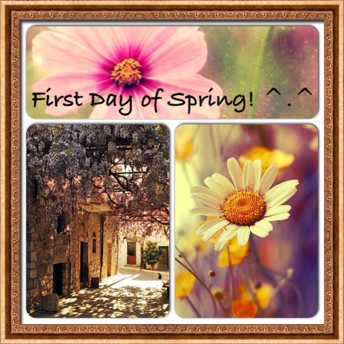 Spring is here!! #bloom #spring #seasons #primavera #fave