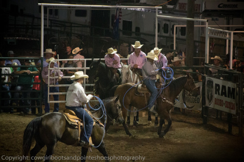 Getting ready for the Team Roping section of the night :)