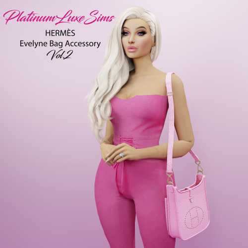 HERMÈS Evelyne Bag - Vol.2 (CAS Accessory) DOWNLOADPatreon early access - Public 14th Decembe