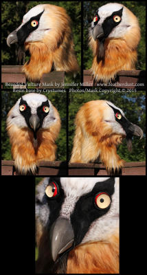 nambroth:  My most recent mask, Kleiveer the Bearded Vulture (Lammergeier)!This is built on a base crafted by the very talented Crystumes. Altered, furred, and finished by myself.Kind thanks to the folks that took photos of it at AC earlier this month.