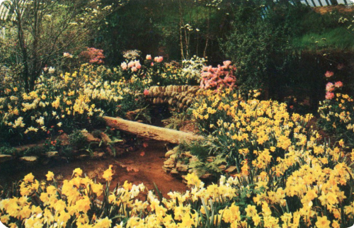 Phipps Conservatory Cottage Garden Postcard