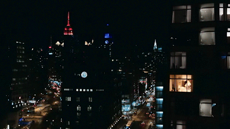The Standard, East Village nestled in the Manhattan skyline. 