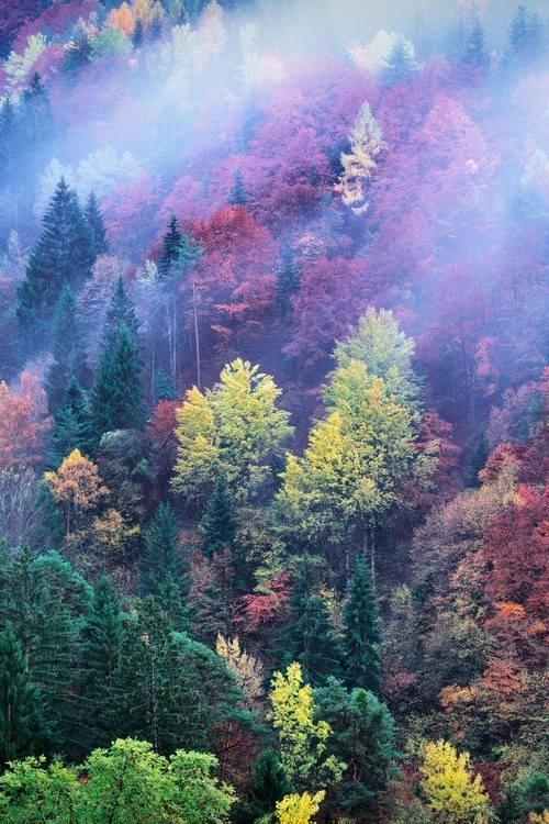 0rient-express:  The distant Autumn | by Andrea Lastri. 