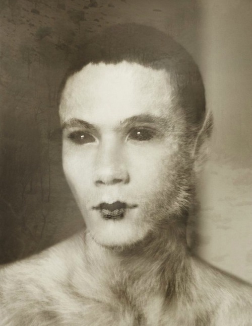fer1972:   Anymales by Didier Illouz 