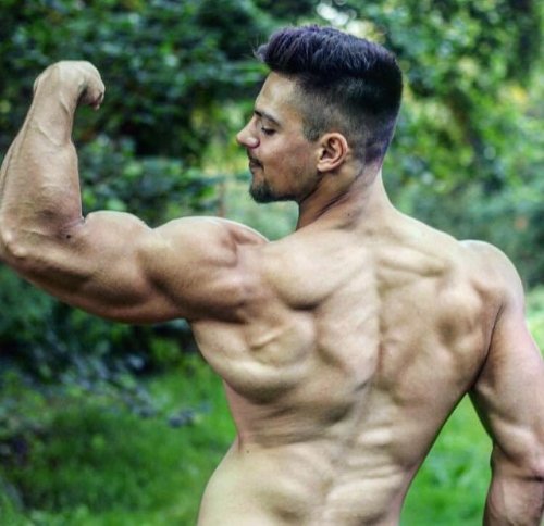 vdanker:Jamar Pusch