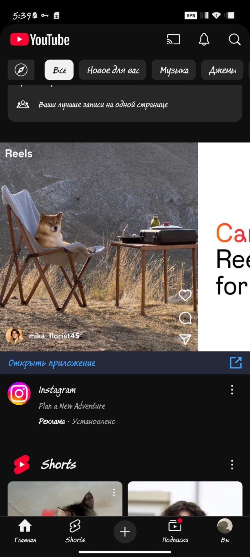 Tumblr media