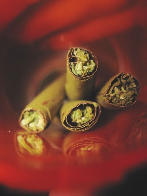 thecannapothead: blunts