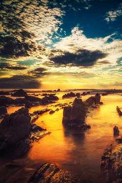 plasmatics-life:  Summer Days by Pablo Gomez Sal | (Website)