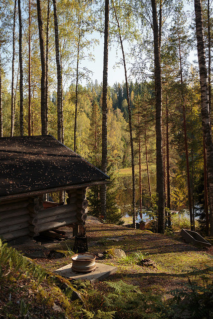 homeintheforest:  IMG_2238 by Lewmzi on Flickr.