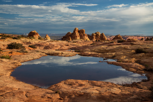 mypubliclands:  Located on the Colorado Plateau in northern Arizona, the Vermilion Cliffs National Monument in Arizona includes the Paria Canyon-Vermilion Cliffs Wilderness. This remote and unspoiled, 280,000-acre Monument - a part of the BLM’s National