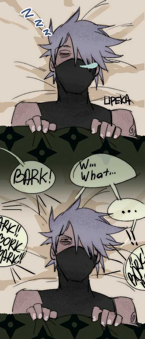 Kakashi & Ninkens