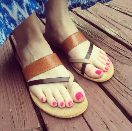 sassafraspedi | Toes-R-Us
