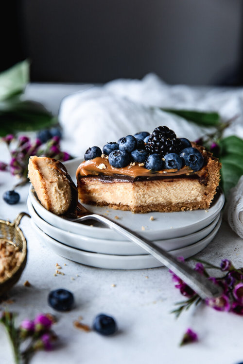 fullcravings:Peanut Butter Cheesecake with Chocolate and Dulce de Leche