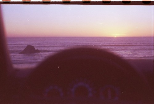 untidysouls: california is a bad lover but we love her anyways.10 years expired film.